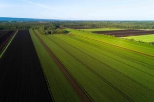 Photographie agricole et agroalimentaire au Québec