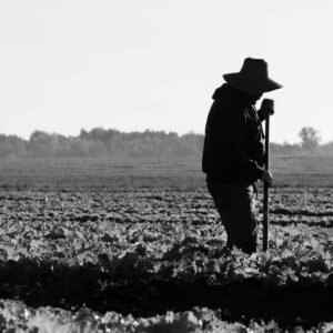 Photographie agricole et agroalimentaire au Québec