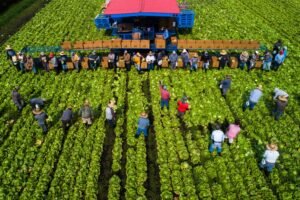 Photographie agricole et agroalimentaire au Québec