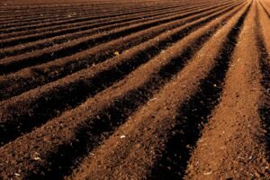 Photographie agricole et agroalimentaire au Québec
