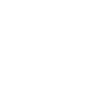 Monogramme PL – Patrick Lauzon photographe corporatif Montréal